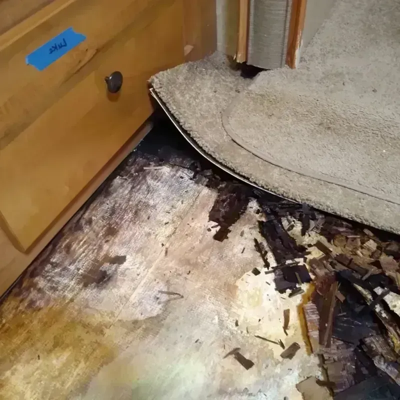 Wood Floor Water Damage in Lake View, AL